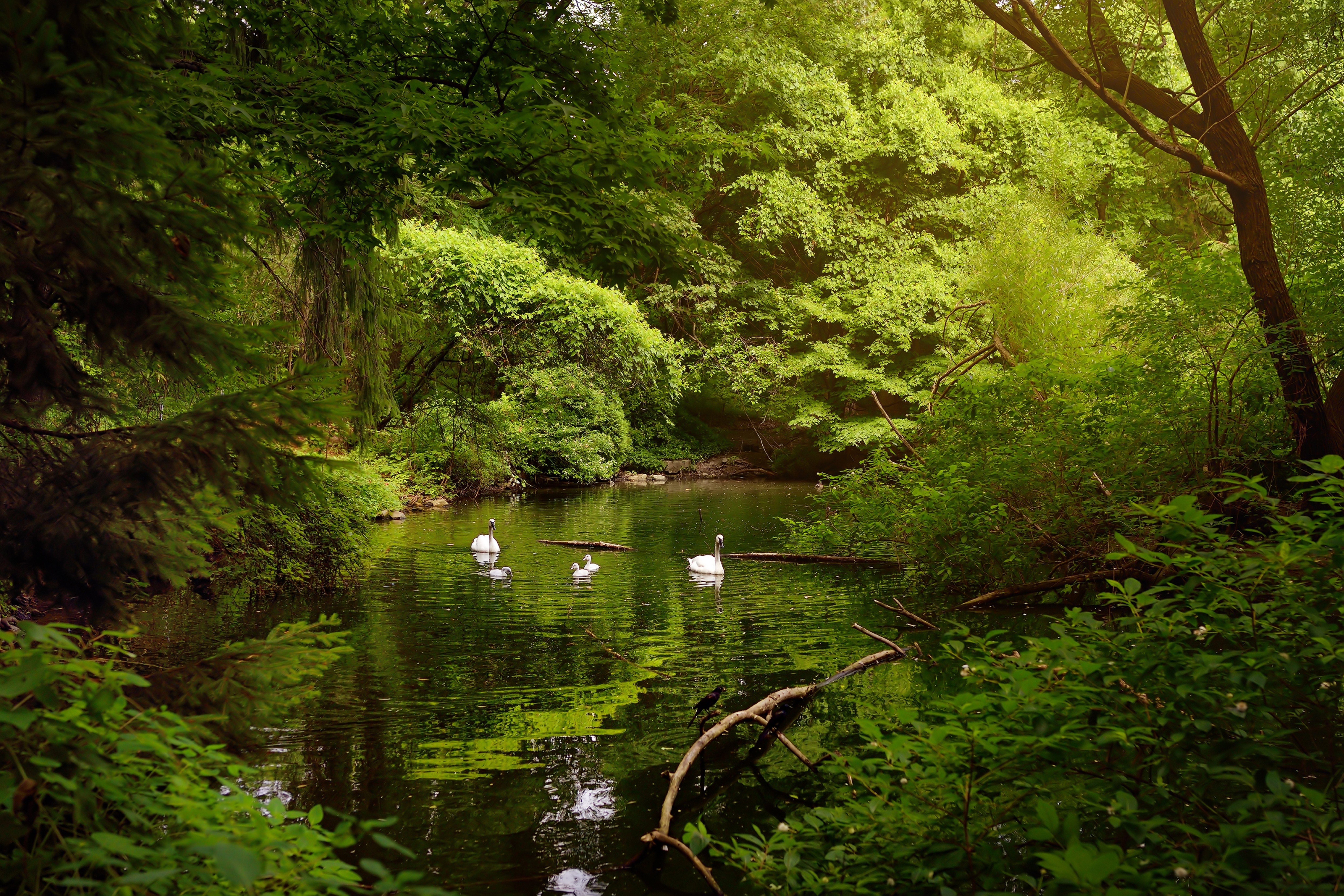 Cabinet de fasciathérapie, espace de soin
