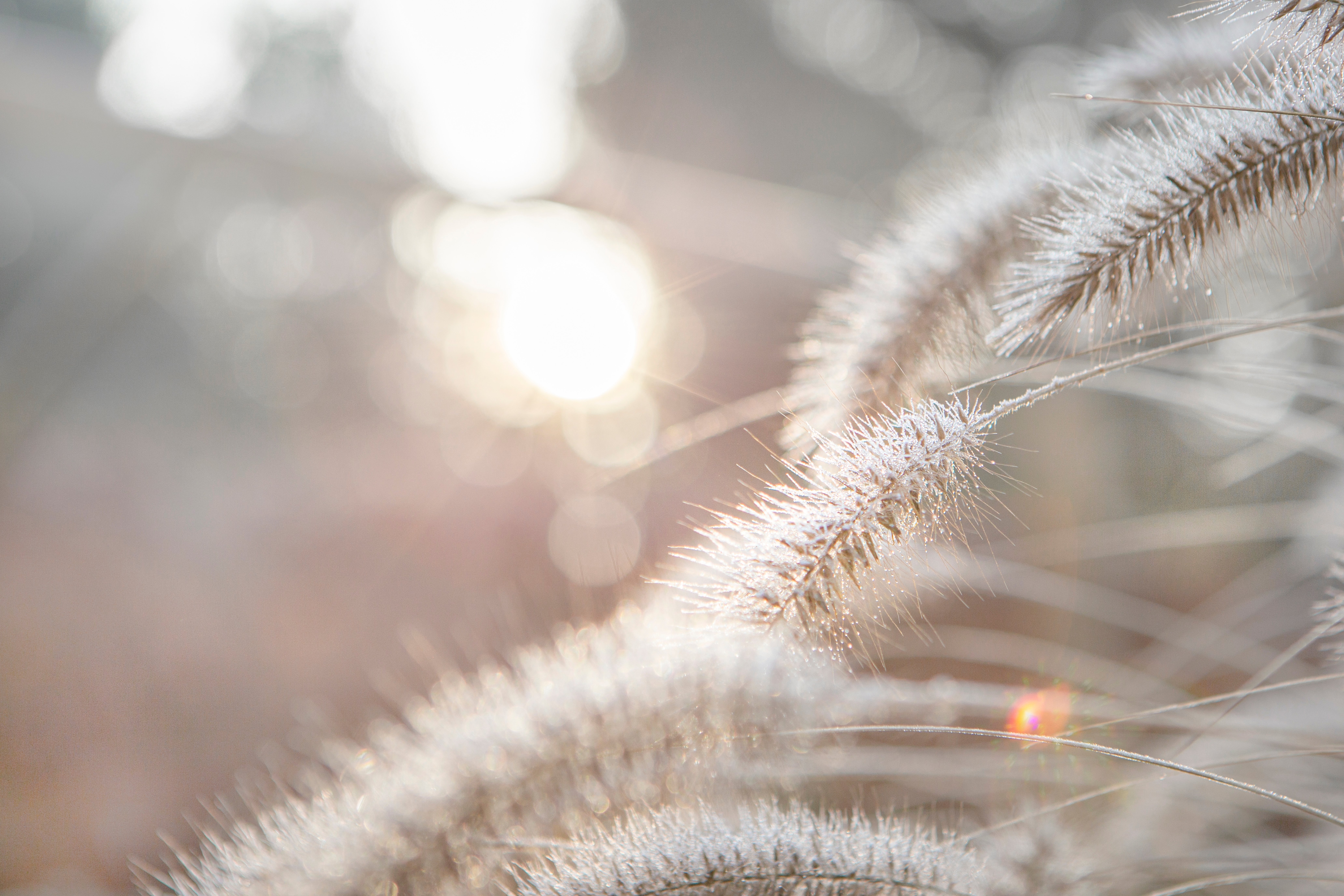 Approche douce de la fasciathérapie